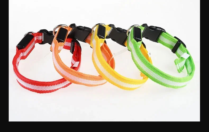 Doggy Led
