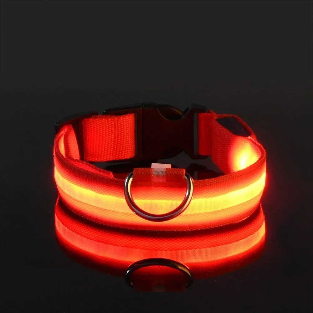 Doggy Led