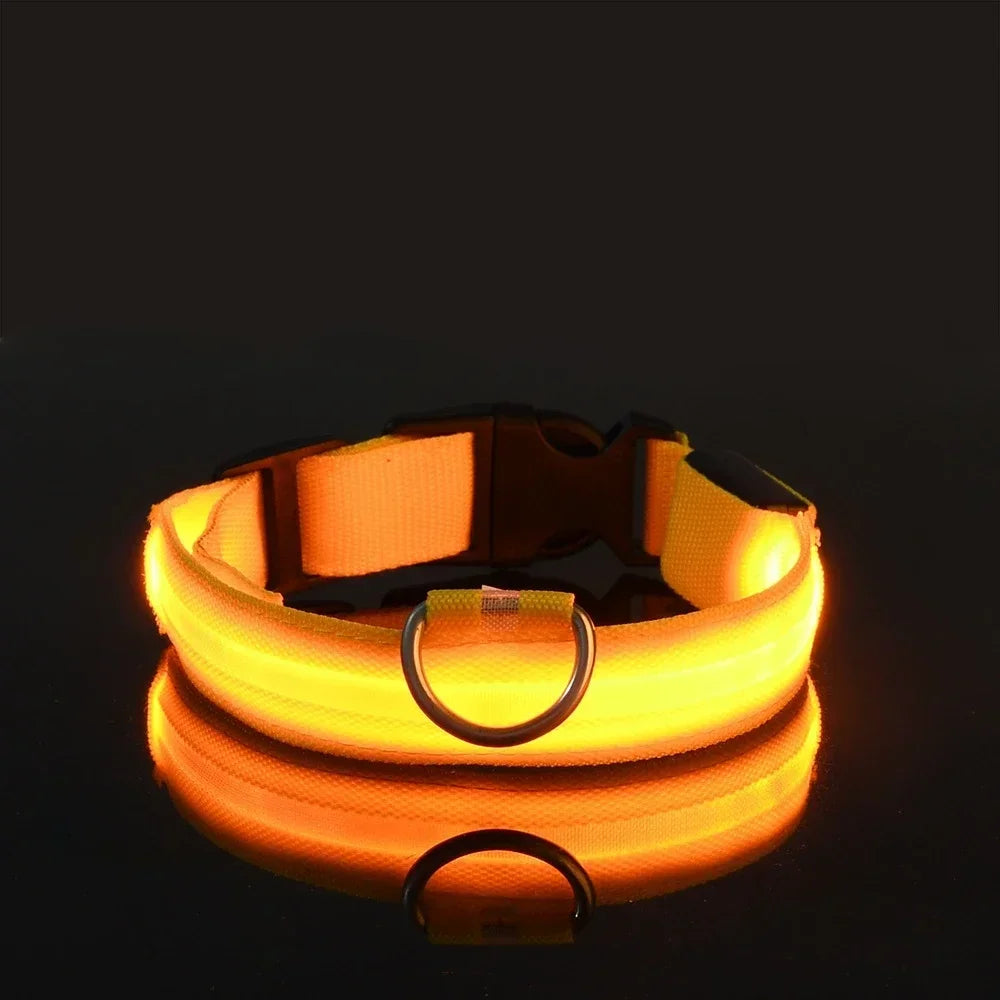 Doggy Led