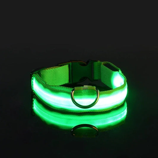 Doggy Led