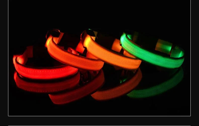 Doggy Led