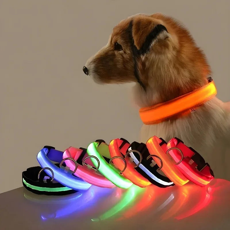 Doggy Led
