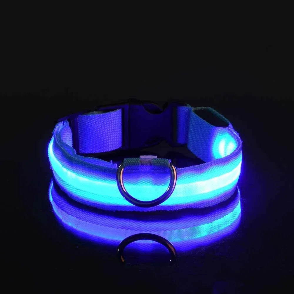 Doggy Led